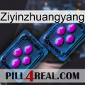 Ziyinzhuangyang 03